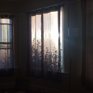 双飞娘俩国语免费观看视频
