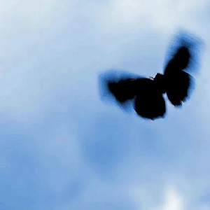 双飞娘俩国语免费观看视频
