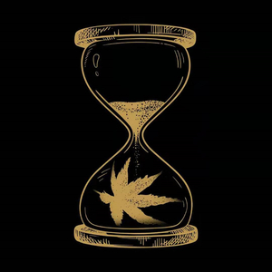 双飞娘俩国语免费观看视频
